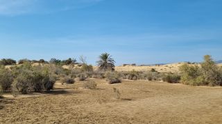 2023-GC--Mapalomas dunas-S123-259.jpg